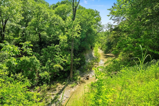 413 Sloan Creek Pkwy, Fairview, TX 75069 - view of local wilderness
