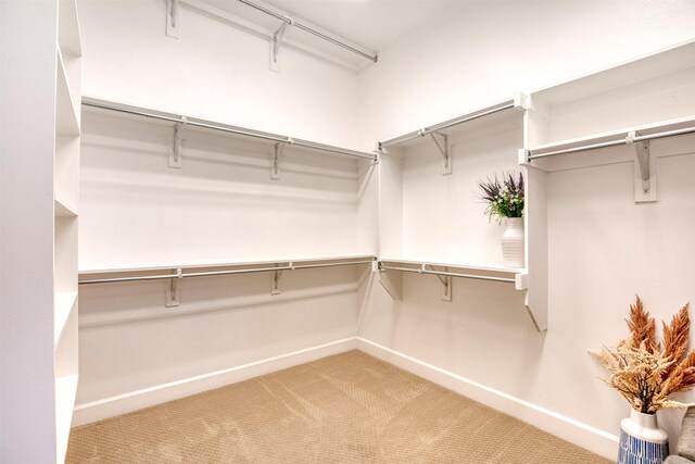 5005 Meridian Ln Unit 3102, Addison, TX 75001 - walk in closet featuring carpet