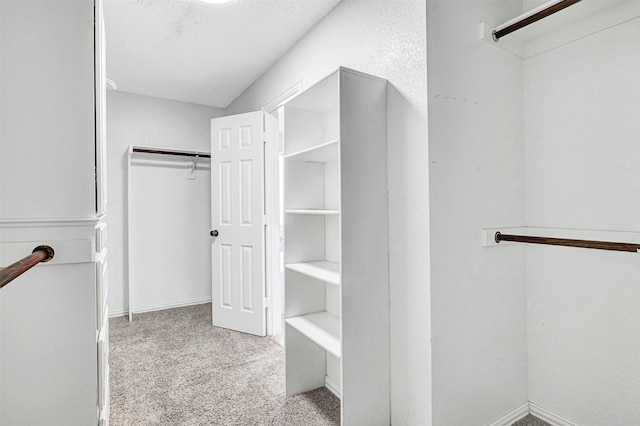 3501 Thorp Springs Dr, Plano, TX 75025 - spacious closet with carpet floors
