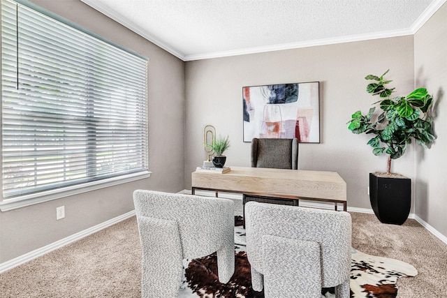 3501 Thorp Springs Dr, Plano, TX 75025 - home office with carpet flooring, ornamental molding, baseboards, and a textured ceiling