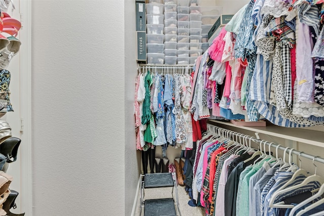 2307 Grizzly Run Ln, Euless, TX 76039 - view of spacious closet