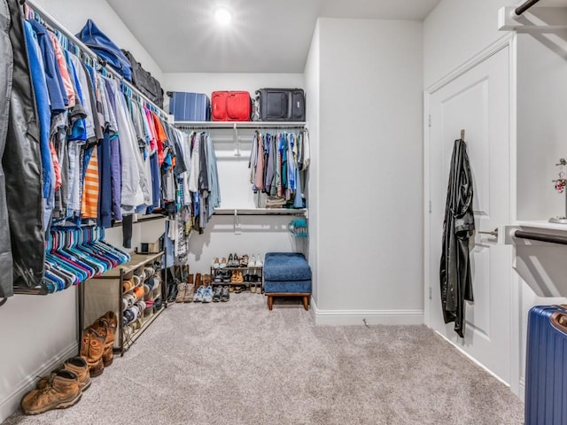 217 Fulton St, Oak Point, TX 75068 - spacious closet featuring radiator and carpet flooring