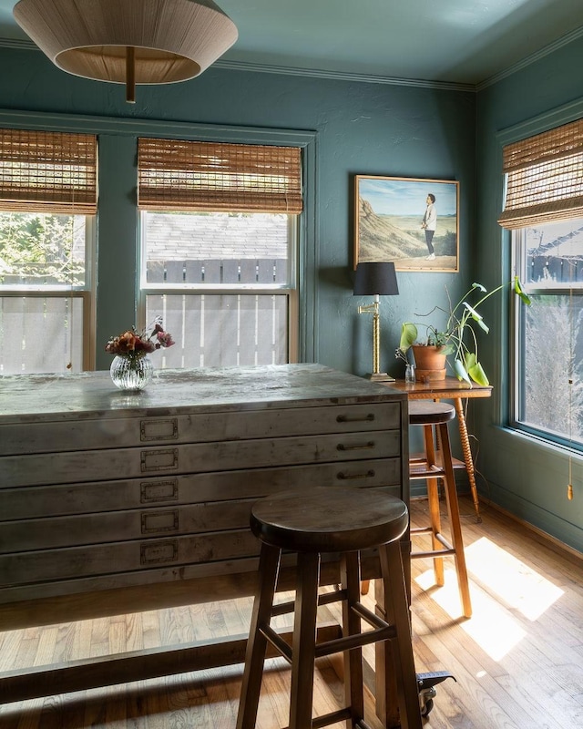 2846 Catherine St, Dallas, TX 75211 - bar featuring plenty of natural light, wood finished floors, and crown molding