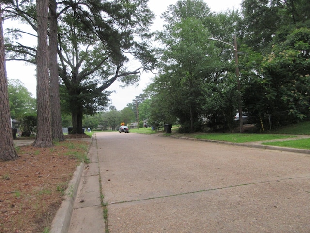 view of concrete street with curbs