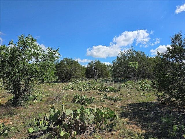 TBD County Road 218, Santa Anna, TX 76878