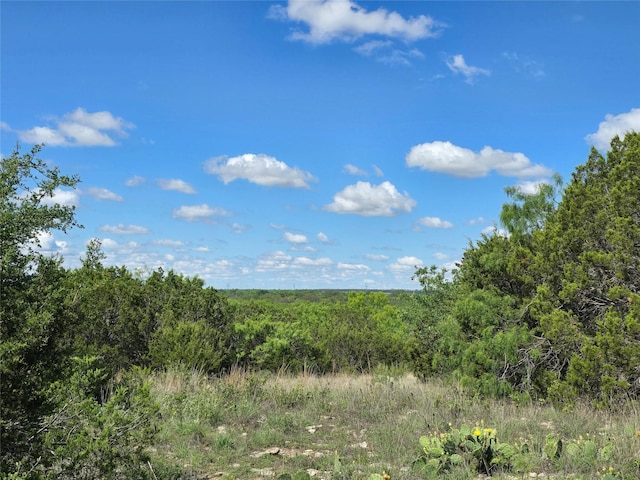 TBD County Road 218, Santa Anna, TX 76878