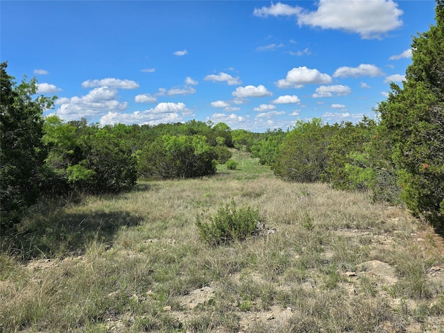 TBD County Road 218, Santa Anna, TX 76878