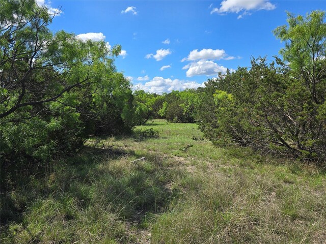 TBD County Road 218, Santa Anna, TX 76878