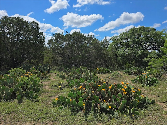 TBD County Road 218, Santa Anna, TX 76878