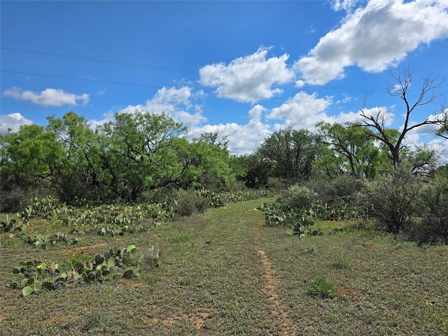 TBD County Road 218, Santa Anna, TX 76878