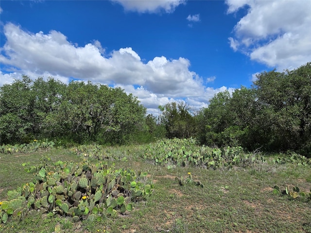 TBD County Road 218, Santa Anna, TX 76878