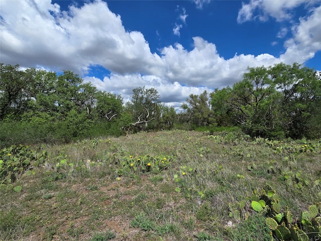 TBD County Road 218, Santa Anna, TX 76878