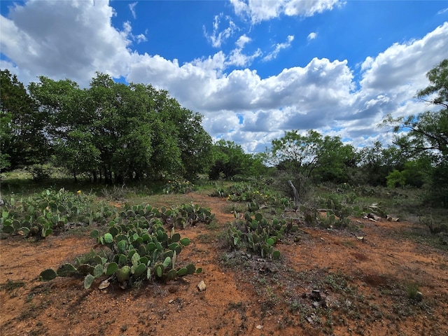TBD County Road 218, Santa Anna, TX 76878