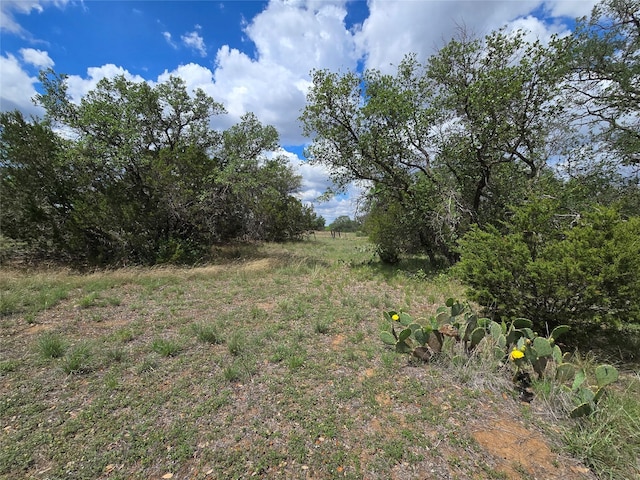 TBD County Road 218, Santa Anna, TX 76878