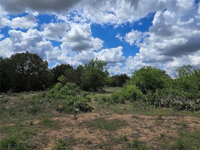TBD County Road 218, Santa Anna, TX 76878