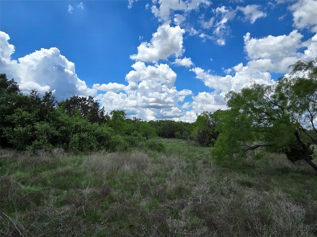 TBD County Road 218, Santa Anna, TX 76878