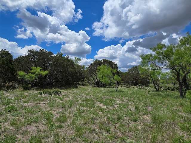 TBD County Road 218, Santa Anna, TX 76878