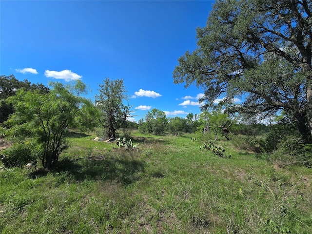 TBD County Road 218, Santa Anna, TX 76878