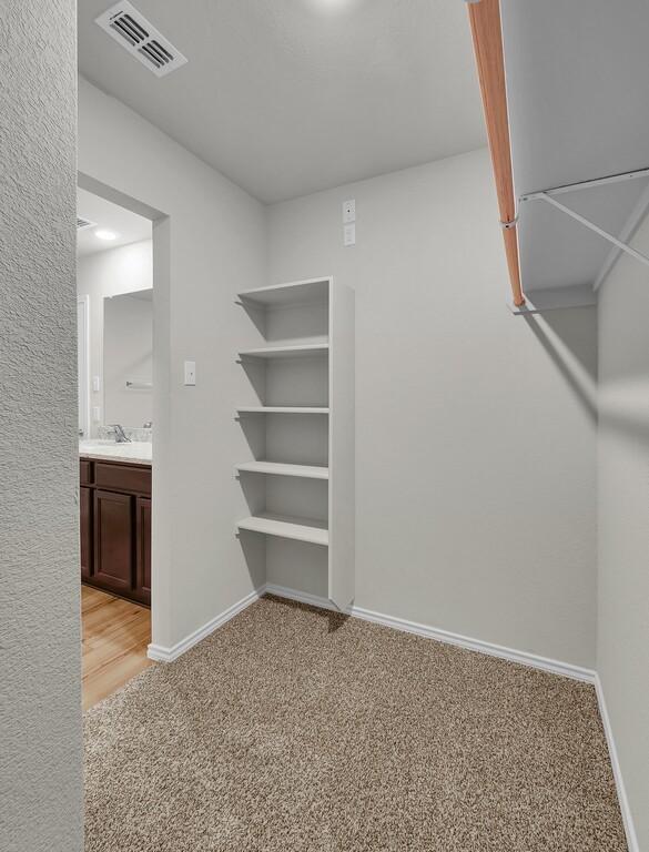 7025 Canadian Dr, Waco, TX 76633 - walk in closet with light carpet and a sink