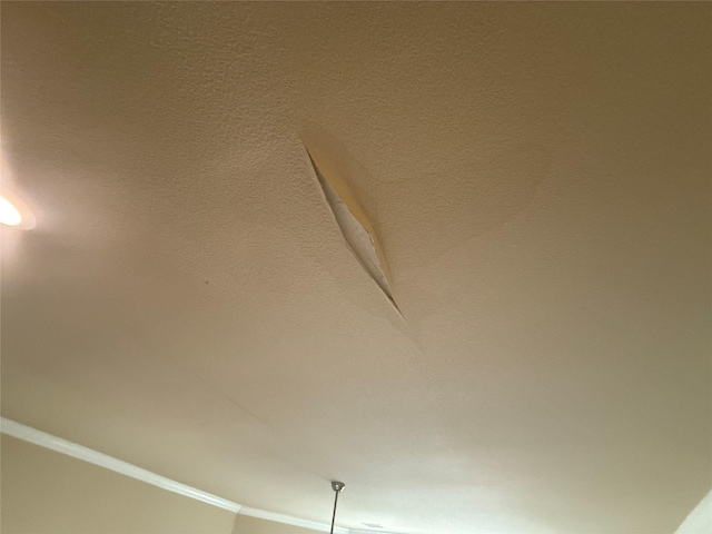 detailed view of crown molding