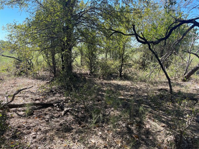 TBD County Road 209, Mexia, TX 76667