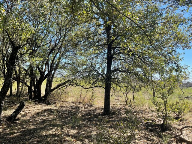 TBD County Road 209, Mexia, TX 76667