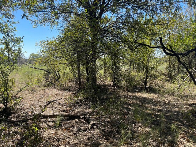 TBD County Road 209, Mexia, TX 76667