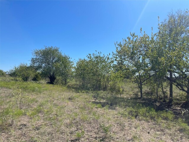 TBD County Road 209, Mexia, TX 76667