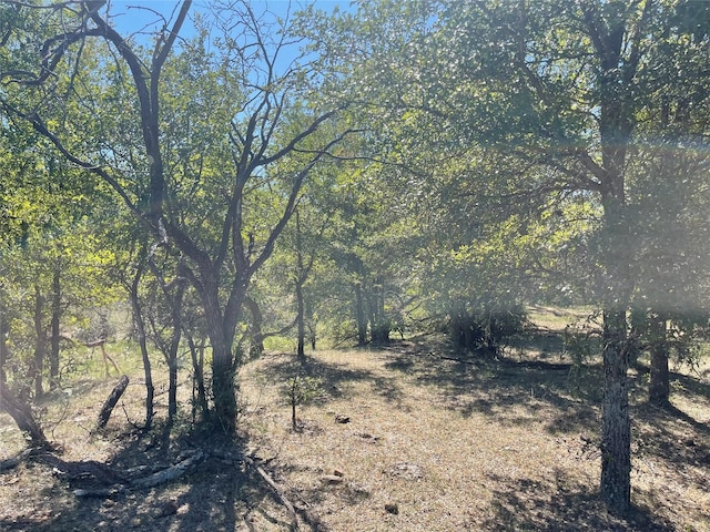 TBD County Road 209, Mexia, TX 76667