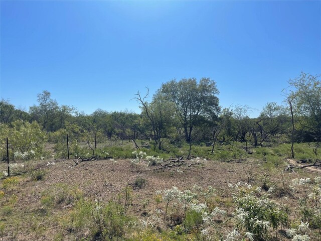 TBD County Road 209, Mexia, TX 76667