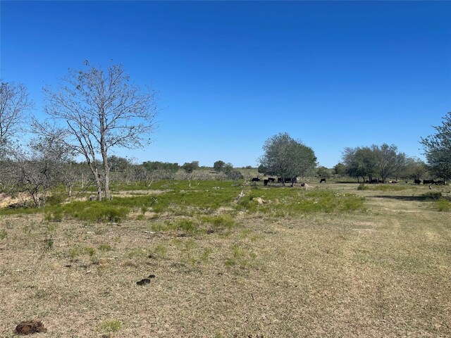 TBD County Road 209, Mexia, TX 76667
