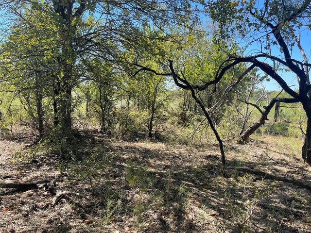 TBD County Road 209, Mexia, TX 76667