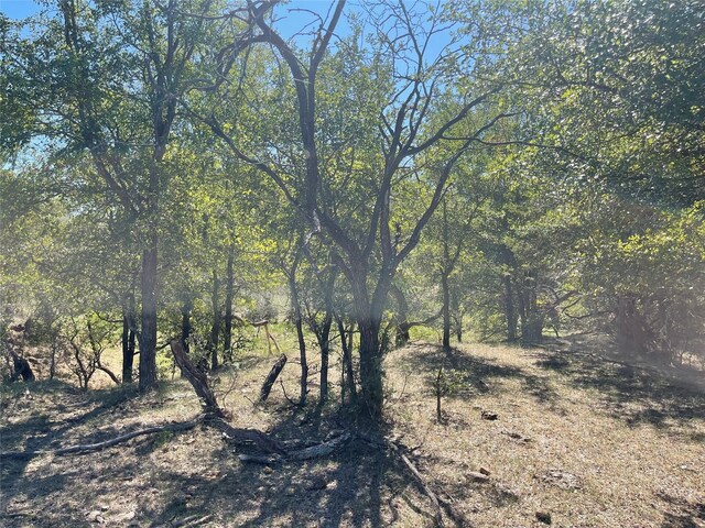 TBD County Road 209, Mexia, TX 76667