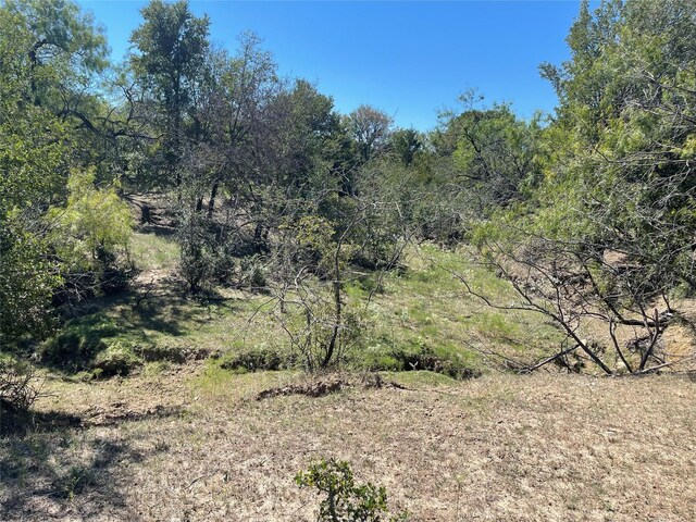 TBD County Road 209, Mexia, TX 76667