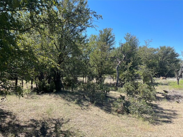 TBD County Road 209, Mexia, TX 76667