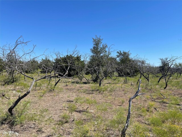 TBD County Road 209, Mexia, TX 76667