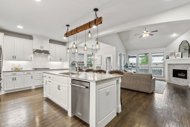 4138 Sanders Dr, Celina, TX 75009 - kitchen with under cabinet range hood, open floor plan, a sink, stainless steel dishwasher, and vaulted ceiling