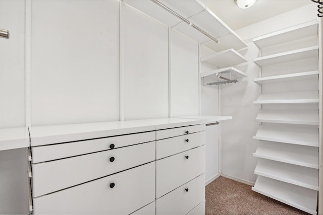4400 Boston Dr, Plano, TX 75093 - walk in closet with light carpet