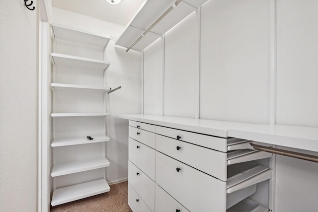 4400 Boston Dr, Plano, TX 75093 - walk in closet with carpet