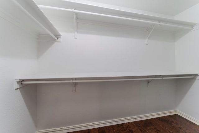 spacious closet featuring dark wood-type flooring