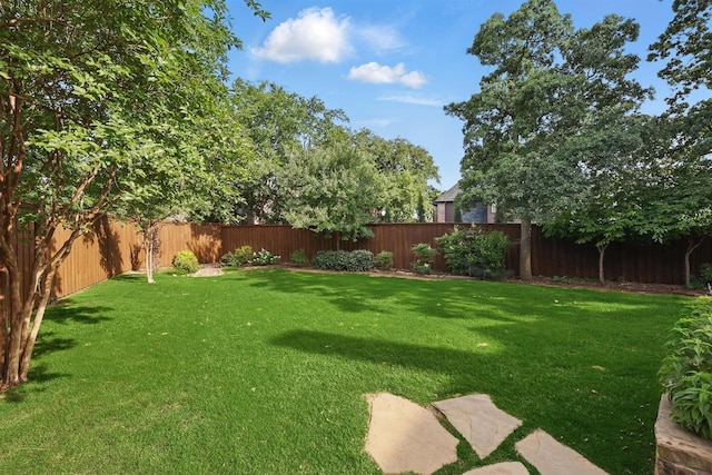 3002 Spring Hill Ln, Highland Village, TX 75077 - view of yard