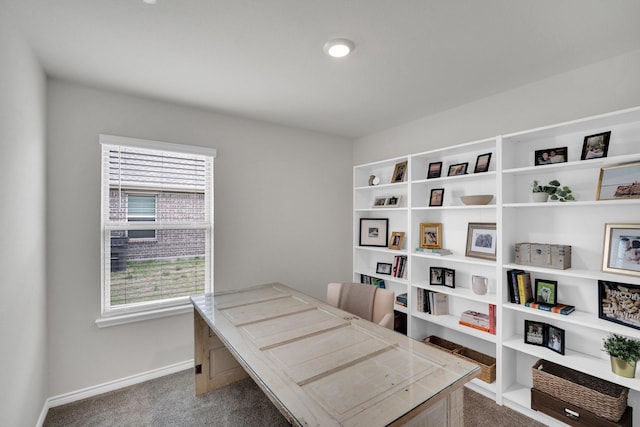1403 Blossom Court Dr, Princeton, TX 75407 - carpeted office featuring baseboards