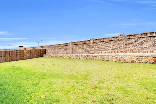1403 Blossom Court Dr, Princeton, TX 75407 - view of yard