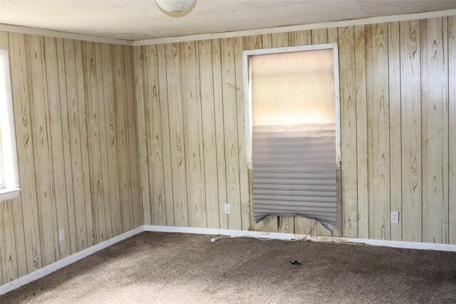 1819 Grady Rd, Hawk Cove, TX 75474 - carpeted spare room featuring wooden walls and a textured ceiling
