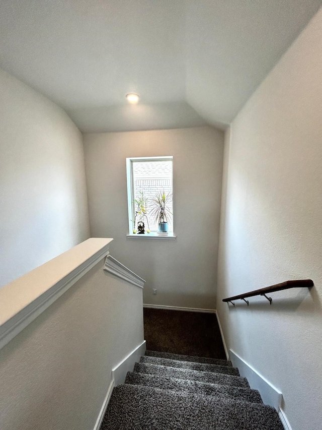 7425 Bledington Ln, Mckinney, TX 75071 - stairway featuring carpet flooring and baseboards