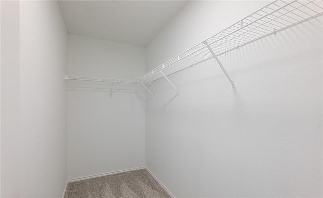 8537 Star Thistle Dr, Fort Worth, TX 76179 - spacious closet featuring carpet