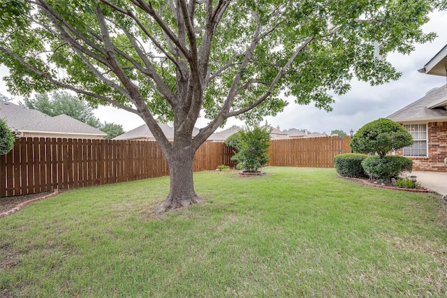 7002 Westover Dr, Rowlett, TX 75089 - view of yard