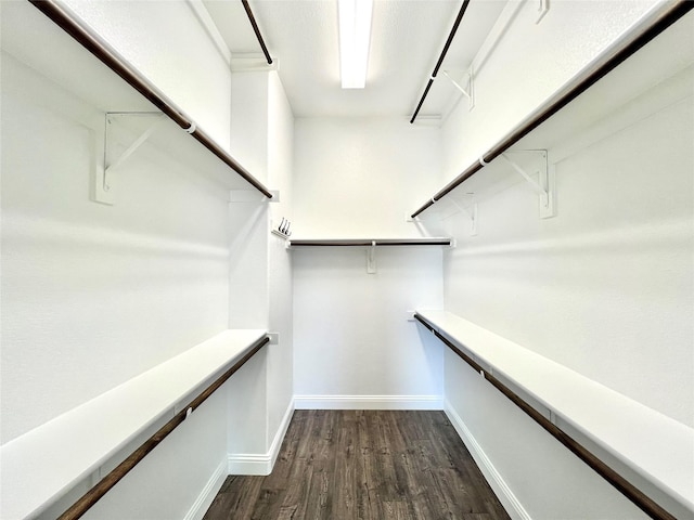 2095 Deckard, Princeton, TX 75407 - walk in closet with dark wood-style flooring