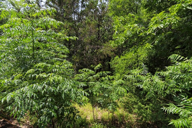 813 Sam Bass Rd, Mcgregor, TX 76657 - view of wooded area