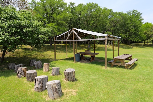 813 Sam Bass Rd, Mcgregor, TX 76657 - surrounding community with a yard